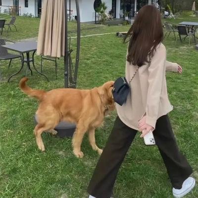 被遗忘的新娘
