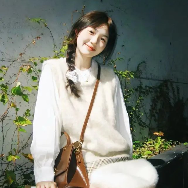 党的女儿